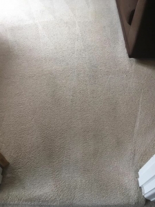 A clean carpet!