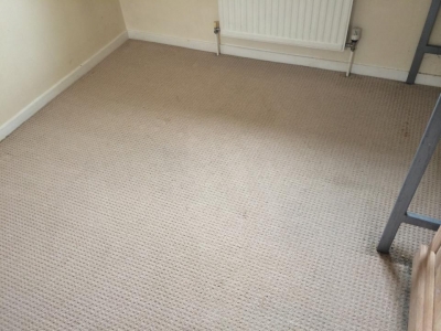 The clean carpet 