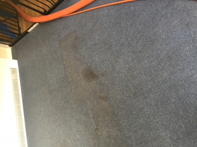 Carpet after a bit of cleaning 