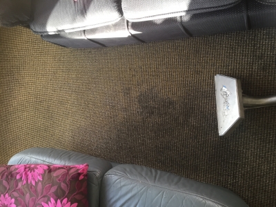 Part cleaned carpet 