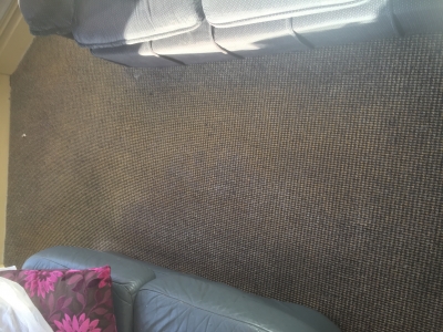 Cleaned carpet 