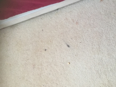 Carpet with makeup spots 