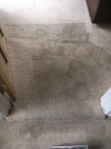 The dirty carpet 