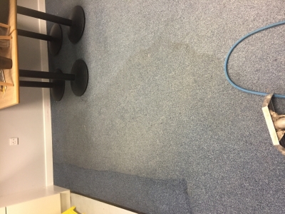Carpet with a cleaning line across the water mark.
