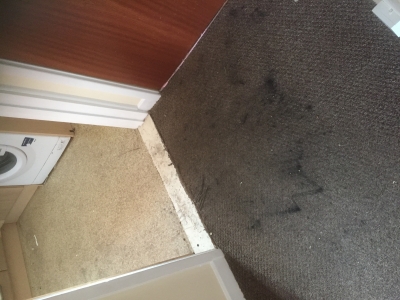 Inky carpet  in Beddau